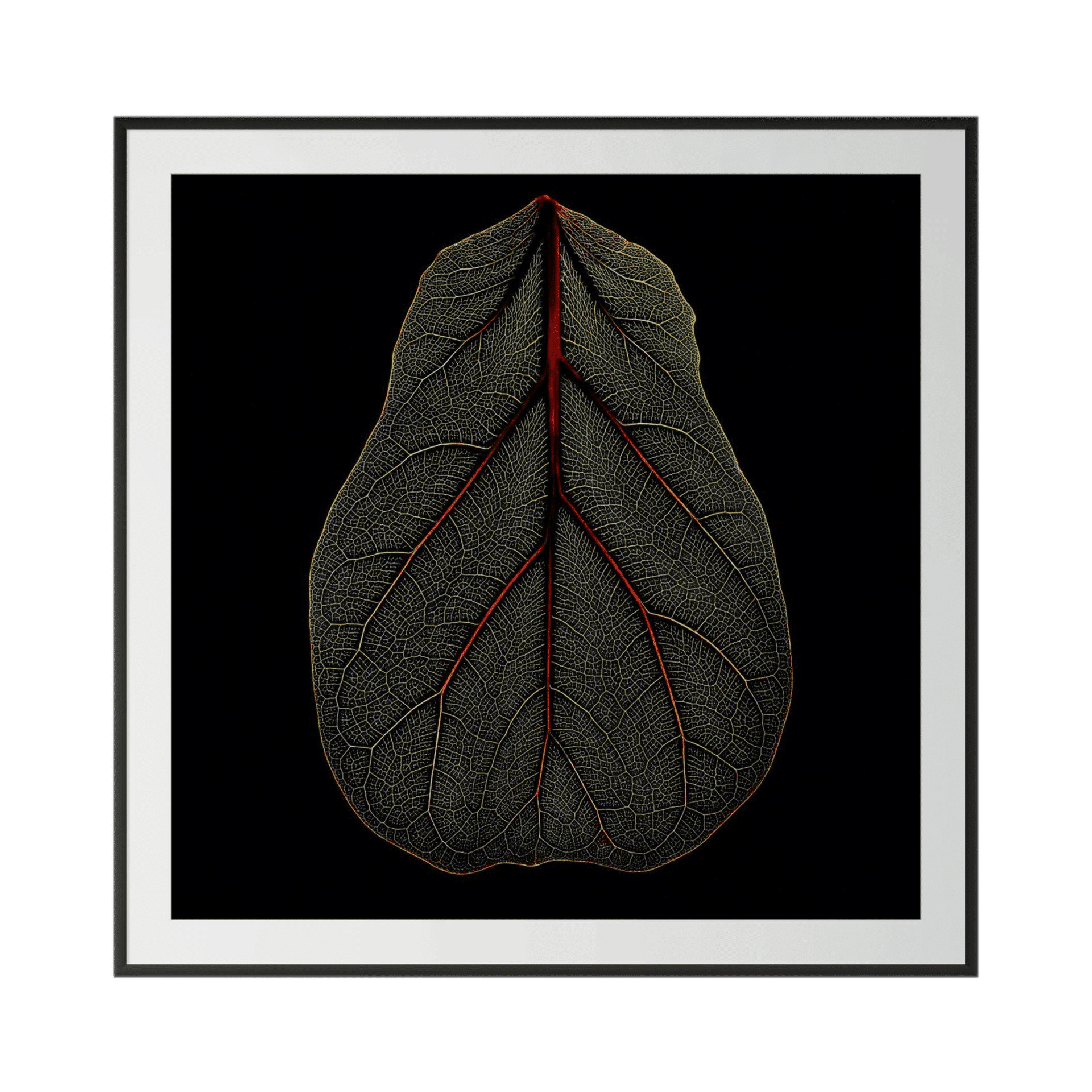 VENATION features a single dark green leaf with light veins and a red central vein on a black background, framed in white and black—an ideal limited edition fine art piece for interior design wall art. - The Coastal Edit Australia